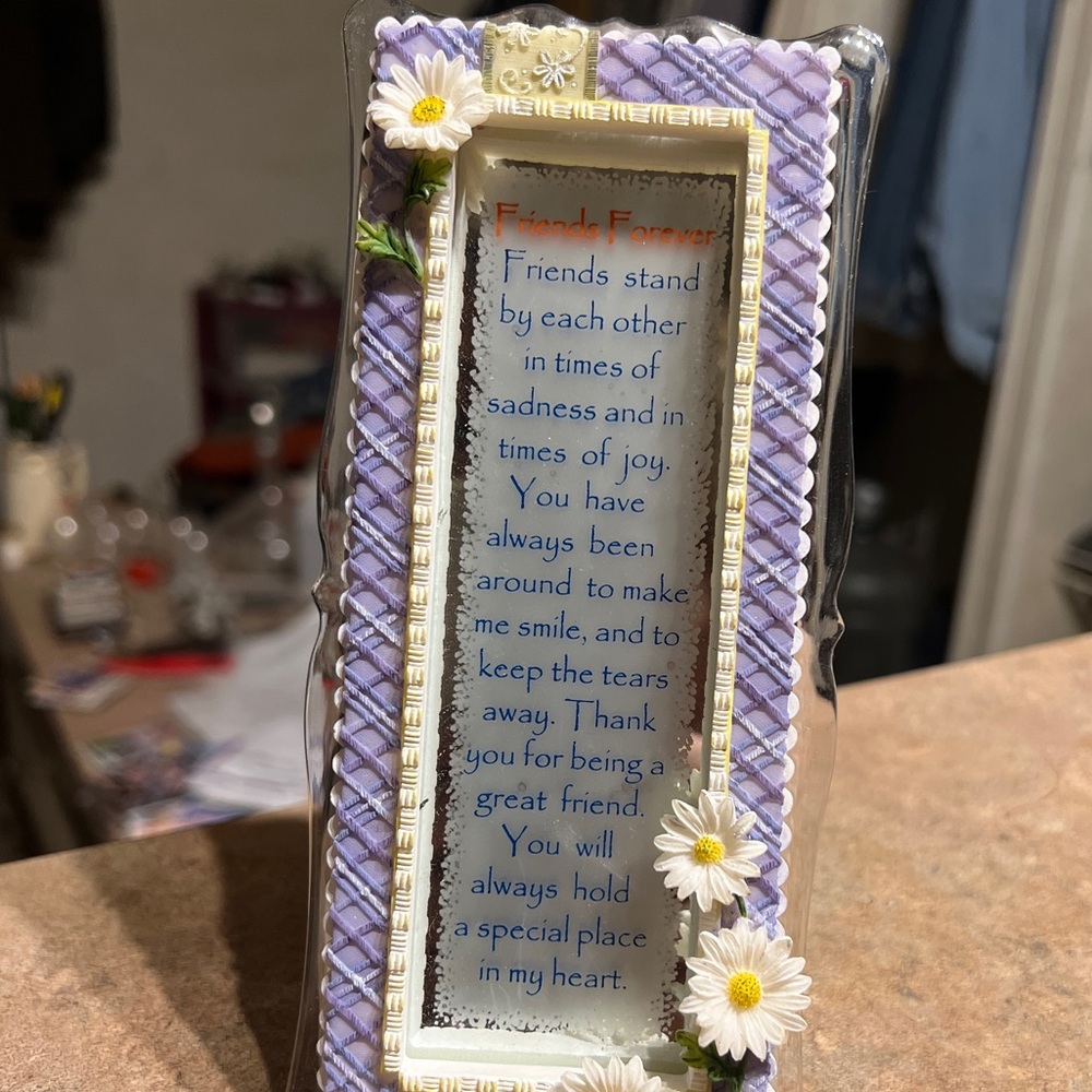 Friends Forever, Mirror Framed Keepsake